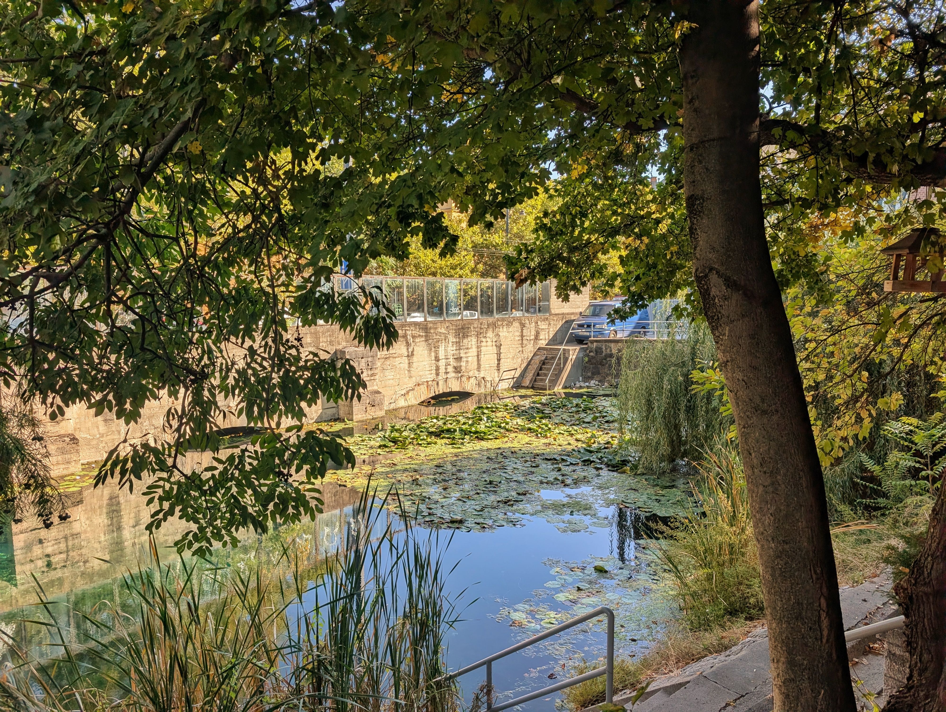 The pond outside the cave in the afternoon sun